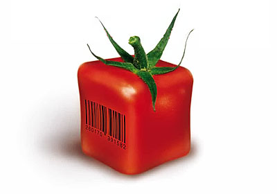quadrat-tomate